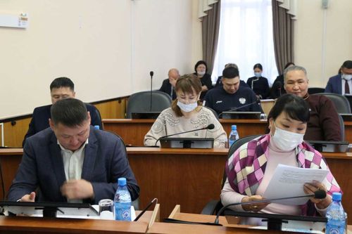 Верховный Хурал поддержал разделение должностей Уполномоченного по правам человека и ребенка