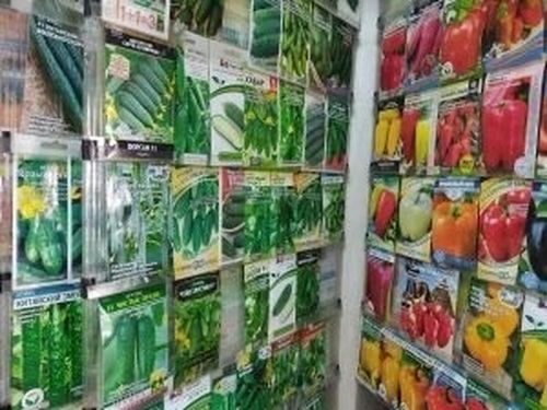 В Туве за текущий год выявлено более 40 нарушений в сфере семеноводства