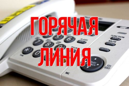 В Туве возобновили регулярный мониторинг цен на продовольственные товары
