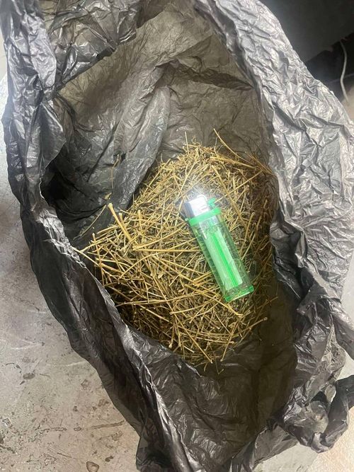 В Туве у несовершеннолетнего студента обнаружили марихуану