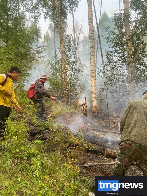 В Туве на данный момент действуют 31 лесной пожар на площади 2 849 гектаров. Четыре из них на площади 138,6 гектара локализованы