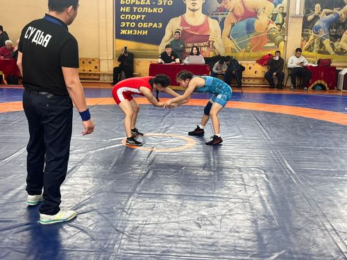 Молодые борцы Тувы сразятся за титул на чемпионате по спортивной борьбе