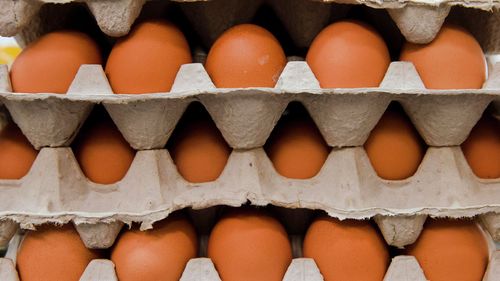 Виктория Абрамченко: «Цены на яйца и курицу в России стабилизировались и начнут снижаться»