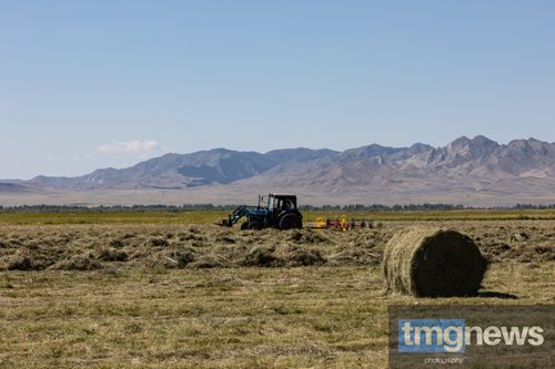 Служба ГО и ЧС напоминает о важности соблюдения правил пожарной безопасности при заготовке сена