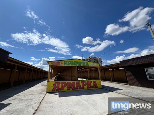 Көдээ ажыл-агый рыногун хагган