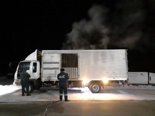 В Туве за текущий год было выявлено более 40 нарушений в сфере порядка ввоза подкарантинной продукции