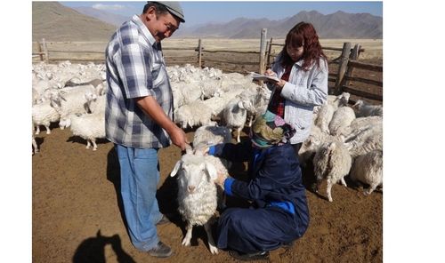 Эъди эъткир, дүгү дүккүр...