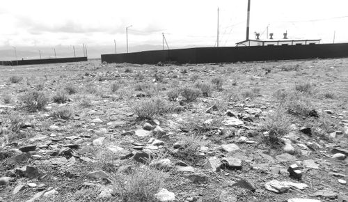 Приключения курганов в Туве