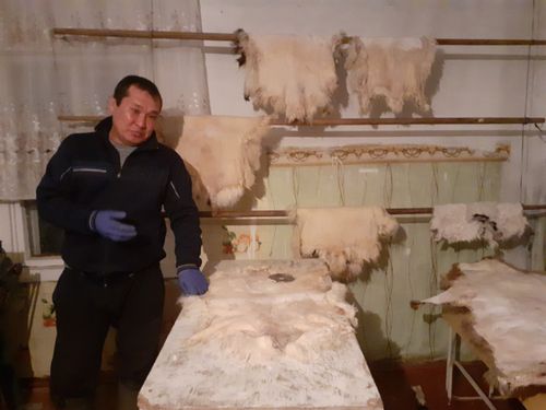 СОЦИАЛ КЕРЭЭНИҢ ТҮҢНЕЛДЕРИ