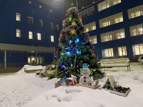 В Туве перед ковид-госпиталем установили новогоднюю елку