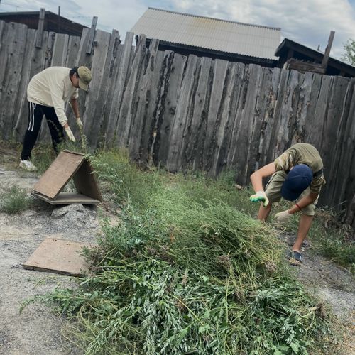 Добровольцы «Добрых сердец Тувы» поддержали участника СВО в благоустройстве двора