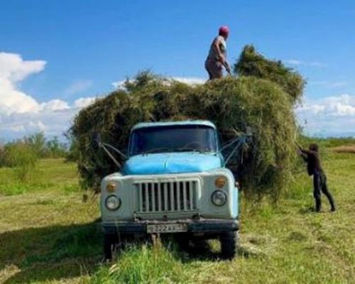 Тывада мал чеминиң белеткели эрткен чылга деңнээрге, үш катап дүрген чоруп турар