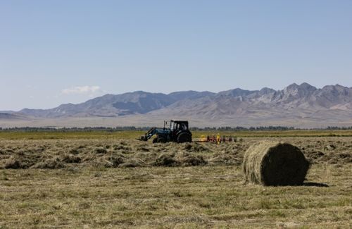 В Улуг-Хемском районе активно ведется кормозаготовительная кампания