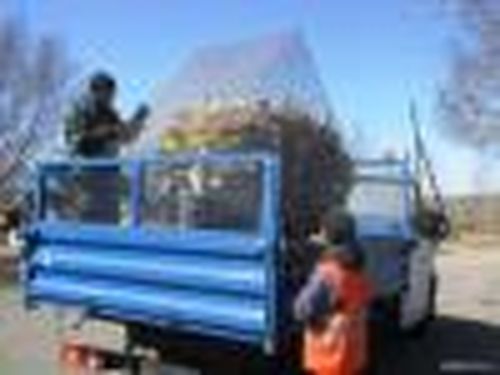 В Туве, как в Камикатцу