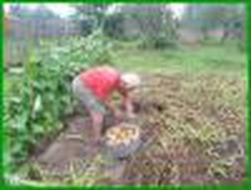 Земля-кормилица