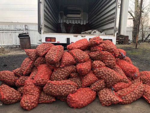 Социальный картофель. Барун-Хемчик
