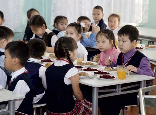 Школьное питание теперь может быть рассчитано и на детей с особыми пищевыми потребностями