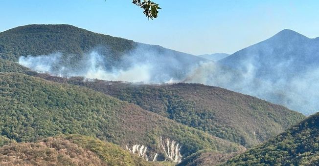 На территории Кабардинского участкового лесничества произошел пожар