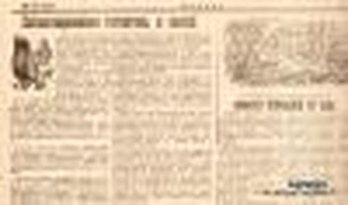 «Женделегатки г. Кызыла организовали огород»