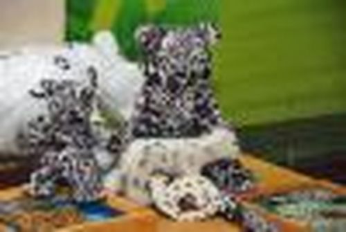 Праздник друзей природы