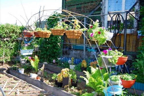 Идет прием заявок на конкурс «Цветущий Кызыл»