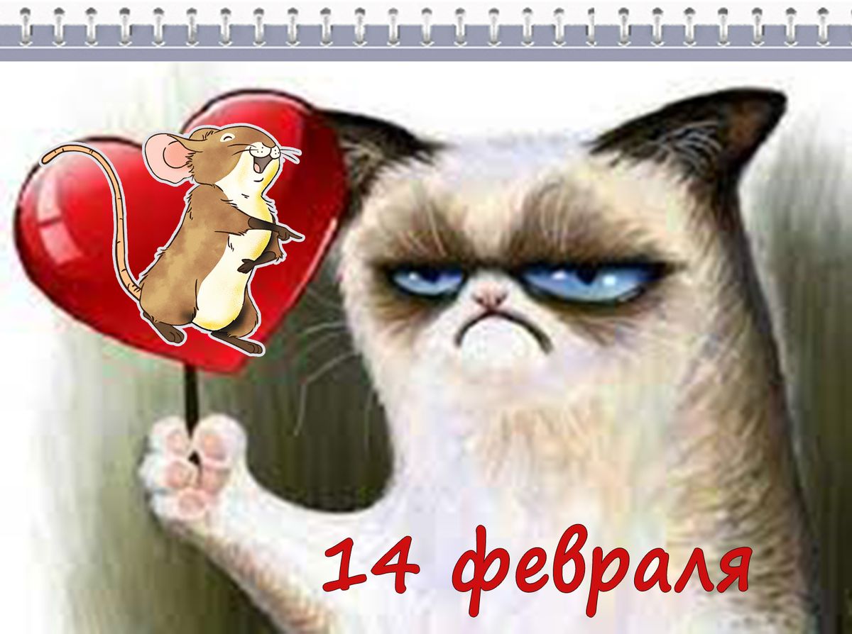 14 февраля день компьютерщика
