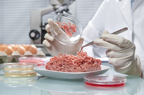 Россельхознадзор подвел итоги пищевого мониторинга в Туве за девять месяцев 2024 года