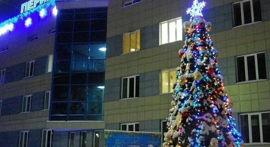 Врачи Тувы спасли младенца с серьезным поражением легких