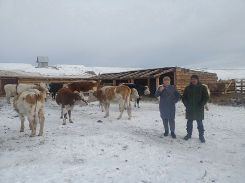 В.Салчак: «Такие социальные проекты, как «Чаа сорук», несомненно, улучшают жизнь»