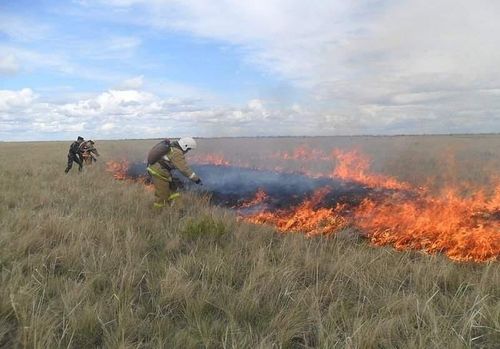 Чүнү билзе чогуурул