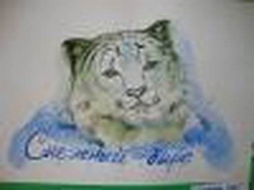 Приз — отдых в экошколе