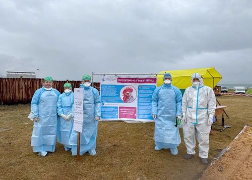 В Туве прошли межрегиональные учения по профилактике гриппа птиц