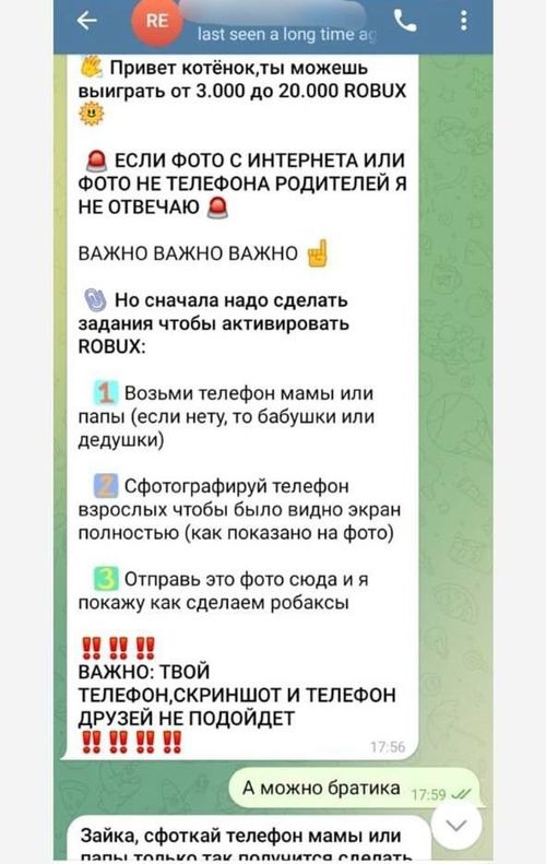 Мошенники обманули 8-летнюю девочку из Тувы на покупке игровой валюты