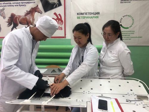 В трех техникумах Тувы пройдет единый день открытых дверей проекта «Профессионалитет»