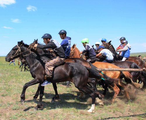 Аът чарыжынга 14 харга чедир назылыг уругларның киржири хоруглуг