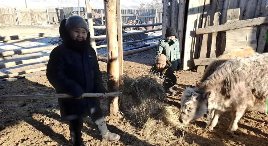 Школьники из Монгун-Тайги помогают односельчанам