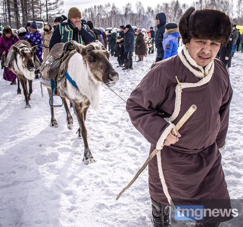 Тува взяла курс на развитие оленеводства