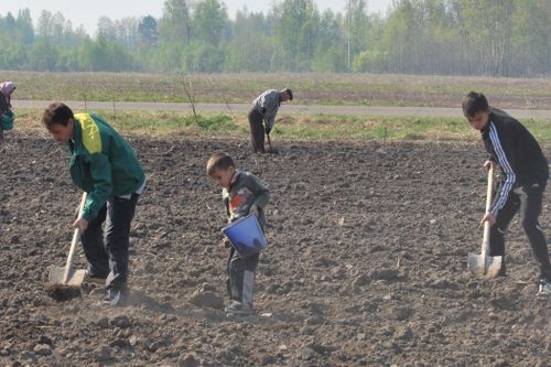 28 МУҢ ӨГ-БҮЛЕНИ КАРТОФЕЛЬ-БИЛЕ ХАНДЫРАР