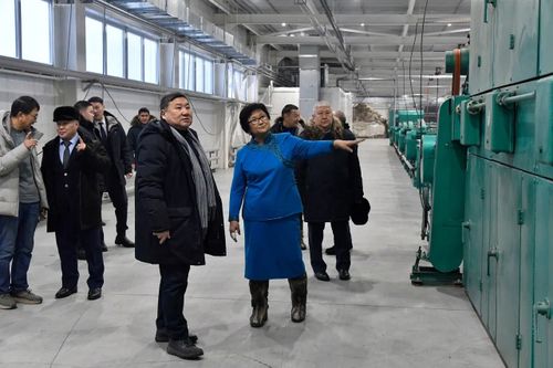 Биче болгаш ортумак сайгарлыкчы чоруктуң хөгжүлдезинге таарымчалыг байдалдарны тургузар