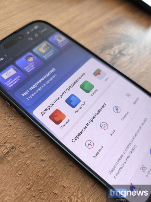 Жители Тувы могут сообщить о проблемах с мусором и дорогами на Платформе обратной связи