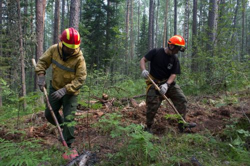 За неделю лесопожарные силы и привлеченные лица ликвидировали 241 лесной пожар в 32 регионах России