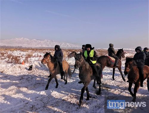 Парадокс конного спорта: соревнования есть, а ипподрома нет