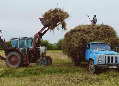 В хозяйствах Тувы продолжается заготовка кормов на зиму