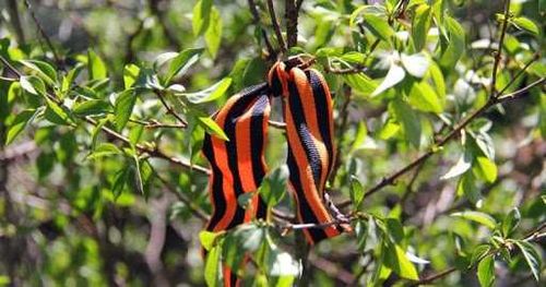 В Кызыле появится «Сад памяти»