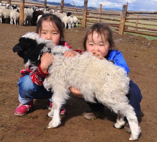 Малчыннарны коронавирус хамчыынга удур тарыдар