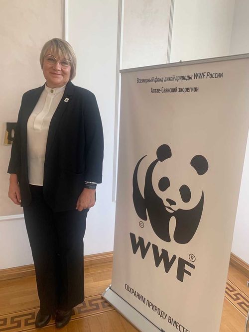 WWF: сохраним снежного барса, аргали и архаров