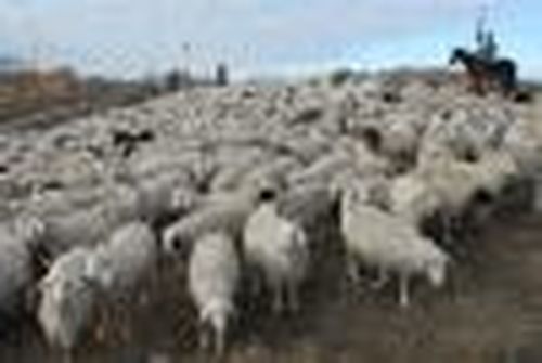 Незаконная справка за… деньги…