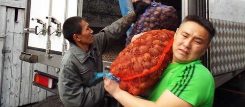 Семей Тувы обеспечат семенами овощей