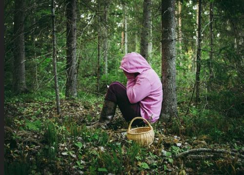 В Туве нашли заблудившихся грибников