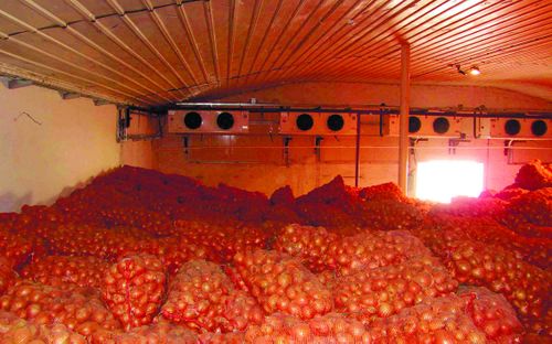 Ногаа шыгжамыры